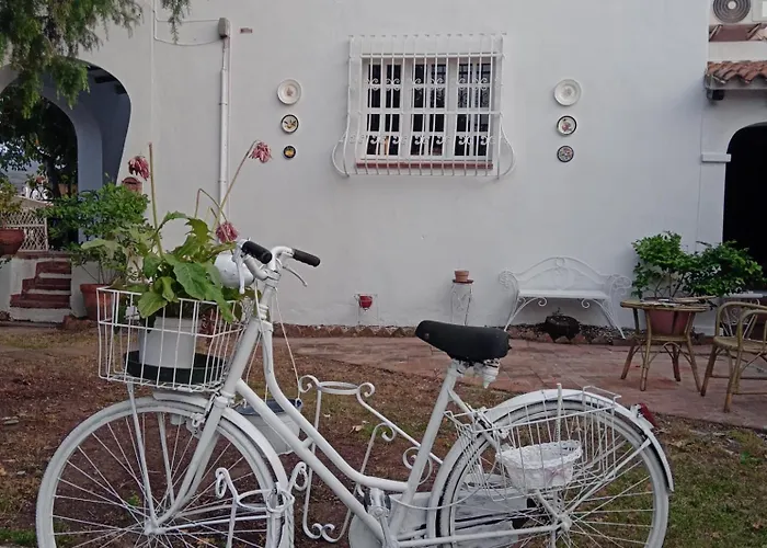 Da Tea 圣特奥多罗